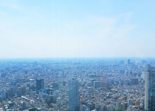 イメージ1
